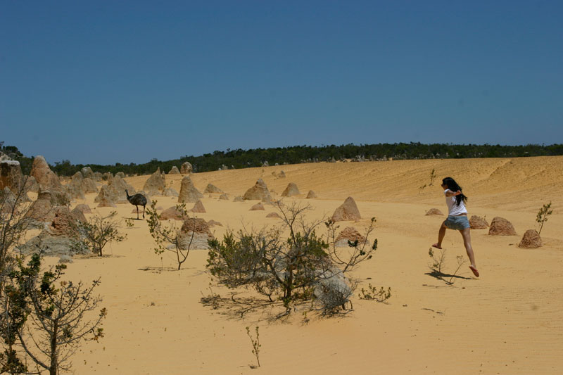 Asa chasing an emu @ Pinnacles Desert